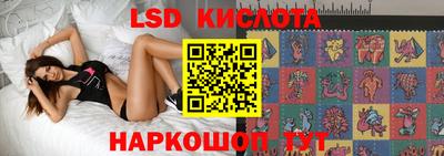 шишки Будённовск