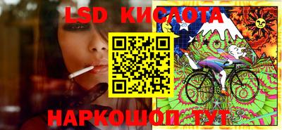 шишки Будённовск