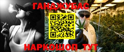 шишки Будённовск