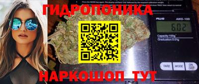 шишки Будённовск