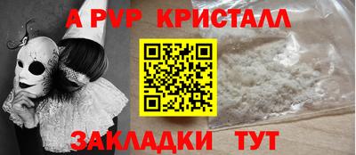 шишки Будённовск